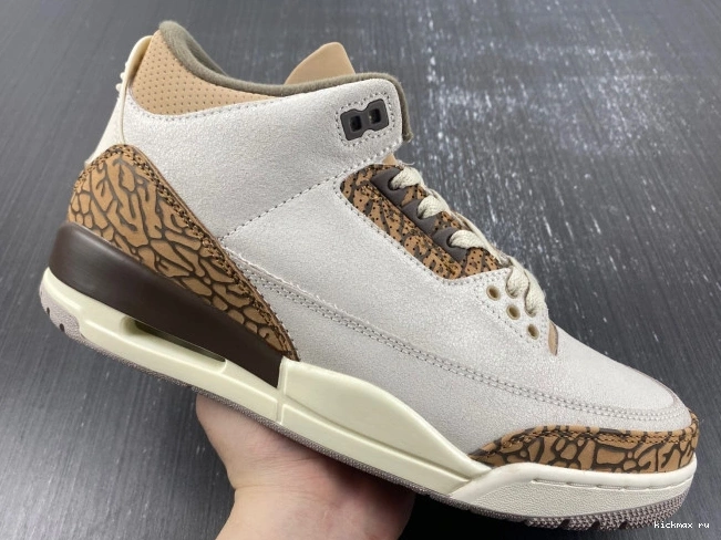 Rep MAX Air Jordan 3 Palomino CT8532-102 0627
